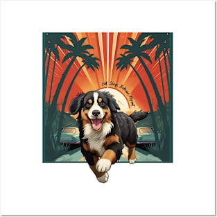 Bernese mountain dog Posters and Art